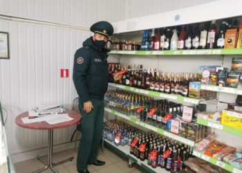 Призыв от белочки жителям Барановичского района