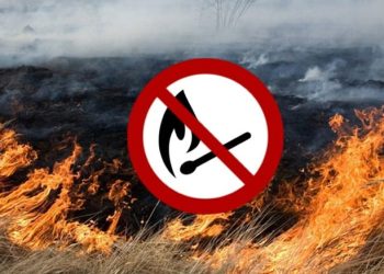 Выжигание сухой растительности и сжигание мусора