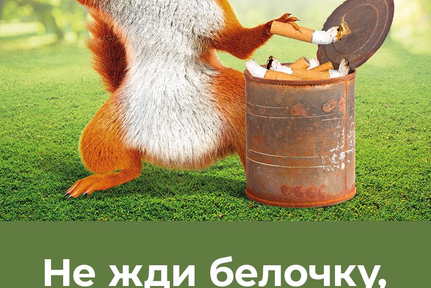 ВЫЖИГАНИЕ РАСТИТЕЛЬНОСТИ